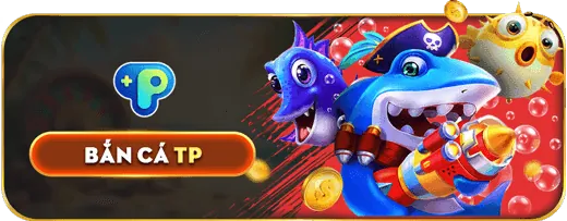 Tổng quan quản lý tài khoản fbc8
