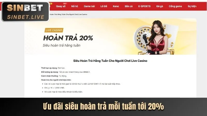Hoàn trả hàng ngày FBC8